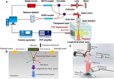 Viscoelasticity Imaging of Biological Tissues and Single Cells Using Shear Wave Propagation